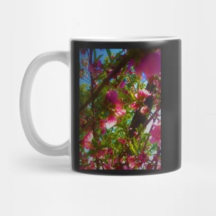 Peach Blossoms Mug